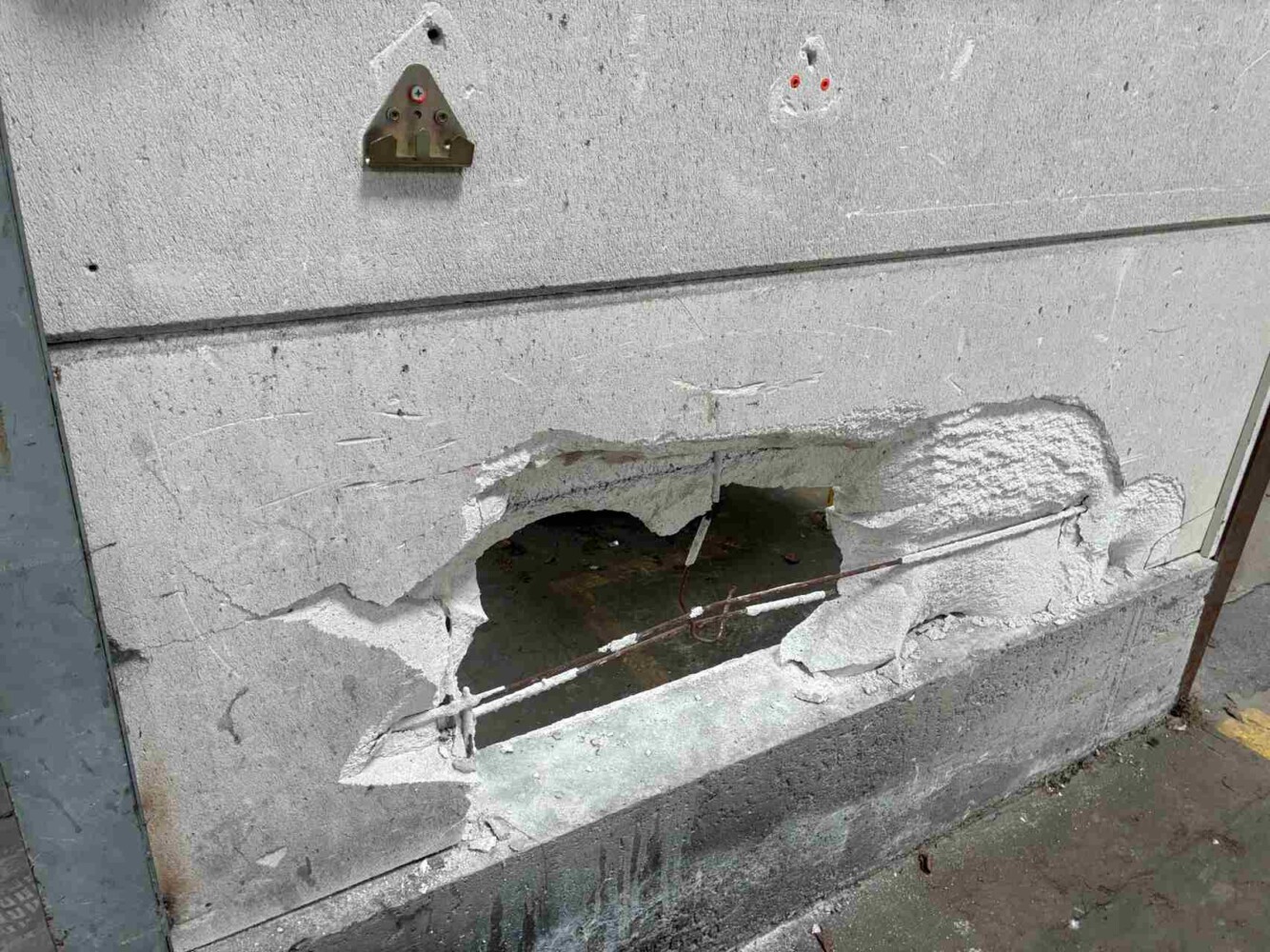 IMG_8779.JPG_compressed